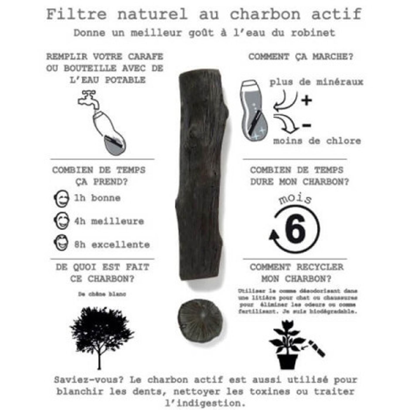 Filtre de charbon actif x 4